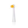 Edel+White Bacterio Target & Focus Brush Heads