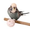 Small Plastic Balls Parrot Toy - Pack of 6