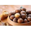 5 MACADAMIA NUT Tree Macadamia Integrifolia Brown Shell Beige Nut Fruit White &