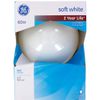 White Globe Light Bulb, 60-Watts, 5-In.-Diameter