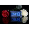 Psn8 Chocolate Experience for adults, Improve Mood, Performance & Energy