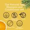 Cedar and Pine Shampoo and Conditioner Bar set - Handmade in Devon UK (SW England)