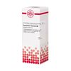 Equisetum hiemale D6 DHU Dilution, 20 ml Lösung