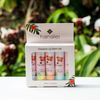 Hanalei Lip Balm and Moisturizer - Natural Kukui Oil and Beeswax Lip Moisturizer to Replenish and Repair Dry, Chapped Lips - Variety Pack (5 Tubes)
