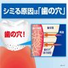 [Bulk Purchase] Haumel Medicated Toothpaste, 3.5 oz (100 g) x 2, Fill Tooth Holes, Kobayashi Pharmaceutical [Quasi-Drug]