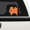 I Love My Pomeranian Car Decal