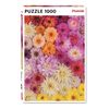 Piatnik PIA5518 Accessories