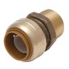 SharkBite U134LFA Pipe Connector, 3/4 in, MNPT, Brass, 200 psi Pressure