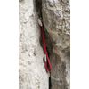Camp Tricam Evo Set 4 pcs. colourful 2019 climbing nuts