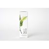 Skin Essence Organics Facial Moisturizer - Light