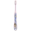Skater Anna and Elsa Toothbrush (Transfer Type) for Elementary tb6 N