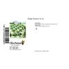 Maple Extract, 32 Fl Oz