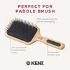 Kent AirHedz Mega Phine Taming Brush