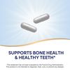 Nature's Way Calcium Citrate, 500 mg Calcium per 2-Capsule Serving, for Bone Health & Muscle Function*, Blend of Citrate, Carbonate & Malate, Gluten Free, 250 Capsules (Packaging May Vary)