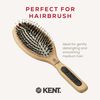 Kent Brushes Perfect For Range PF01