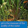 API pH Test Strips 25 Count for Freshwater and Saltwater Aquariums