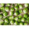 BRUSSEL SPROUTS HEALTH PLUS GL 500 SEEDS