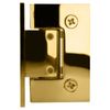 CRL GEN337BR Brass Geneva 337 Adjustable Wall Mount Full Back Plate Hinge