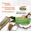 Palmer's Coconut Oil Formula Deep Conditioning Protein Pack, 2.1 oz
