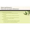 antioxidant vitamins - OLIVE LEAF EXTRACT 500MG 3B - brain booster plus