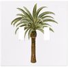 Palm Tree Wallplate Decorative Switch Plate Cover (2 Gang - Double Toggle)