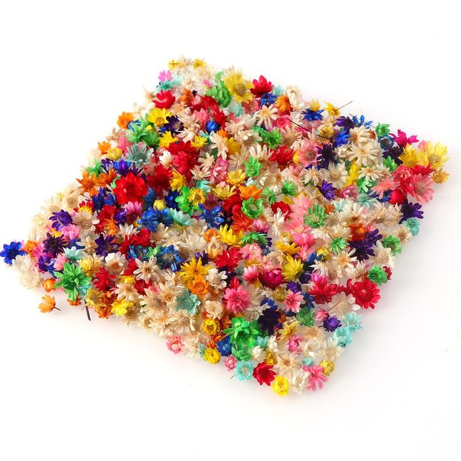 LIKENNY 200 Pcs Dried Flower Star Flower Resin Mini Small Flower Pressed Flower Material Nail Pendant DIY Craft Craft Material Stylish Assorted Set