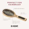 GB KENT     Perfect for Your Hair PF01