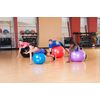Black Mountain Products Static Strength Exercise Stability Ball with Pump, Red, 55cm/2000 lb