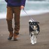 RUFFWEAR Front Range Leash Deep Jungle