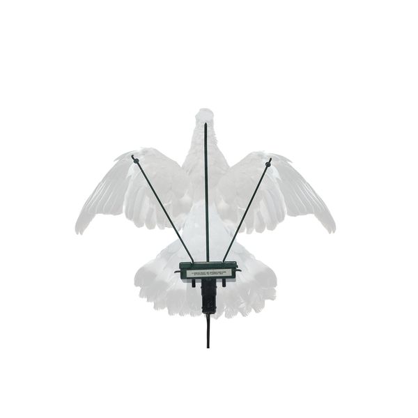 Turbo Pigeon Decoy Flapper Decoying with 2 Year Guarantee