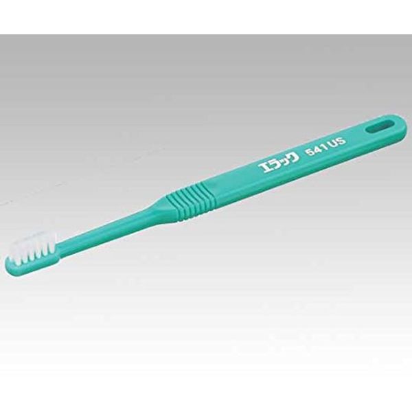 Want For Toothbrush (erakku) 541us