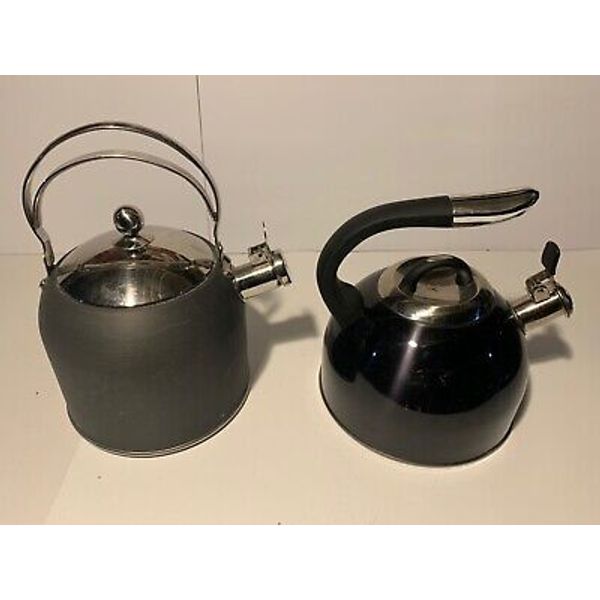 2 stainless steel kettles, Master Class kettle, wellness equipped, Whistling