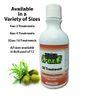 Nit Free Shampoo, 8oz Olive Oil Based