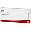BAMBUSA E NODO D 6 Ampullen 10X1 ml