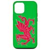 iPhone 12/12 Pro Wales Flag Red Dragon Case