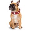 Hunter Swiss Organic Leather Collar, 65, Red/Black