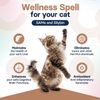 SilymarinAdvanced Liver Supplement for Cats - 30 tablets