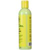 Jamaican Mango & Lime Mango & Shea Butter Lotion 8 Oz