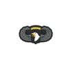 3D Rubber Patch Airborne 101st Silver Wings 4 x 7 cm Army