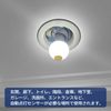 Pispoer - For Mimagata E17 to E17 LED Bulbs Only - Variable Socket - Motion Sensor with Light and Dark Sensor, Infrared Sensor, Automatic Lighting, 60W Equivalent+Fixture Set (Set of 1)
