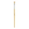 VBS Nature Bristle Brushes, Pack of 10