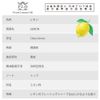 PROST Aroma Oil Lemon 5ml