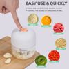 Electric Garlic Chopper, Mini Portable Veggie Chopper, 250ML Garlic... Fast Ship