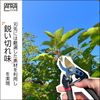 [Professional Supervision] Pruning Scissors, Sharp Sharpness, Rust Resistant, Hard Chrome Processing for Long Lasting Sharpness, Compact, Gardening, Pruning Artisans Atravessar (Black)