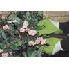 Safety 3 Barb Resistant Gloves, Green, M