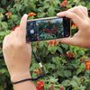 Digital Nc 2 Pack Wrist Strap (Lanyard Style) Adjustable with Quick-Release Compatible with Canon PowerShot N