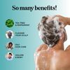Rosemary Tea Tree Mint Shampoo - Clarifying Shampoo for Build Up and Flakes with Deep Cleansing Peppermint Oil and Tea Tree Essential Oil for Dry Scalp Treatment - Paraben & Sulfate Free (8oz)