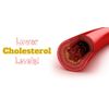 Control Cholesterol Absorption - Reduce Cholesterol 460mg - Cholesterol Hair 2B