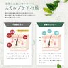 Off&Relax OR Spa Shampoo Treatment, Deep Cleanse, 3 ml 3 Day Work, Relaxing Forest Bathing Scent