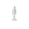 Acupuncture Model Female Height Approx. 50 cm
